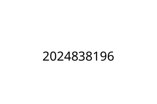 2024838196