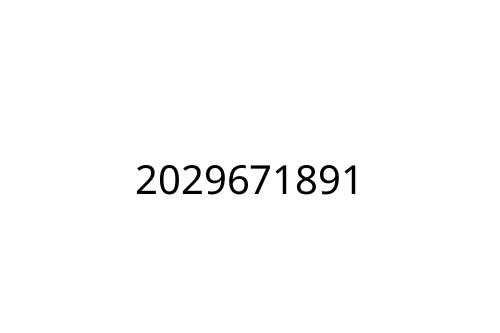 2029671891