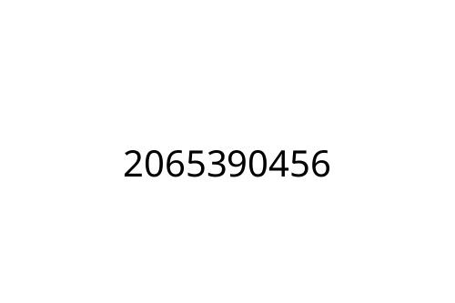 2065390456