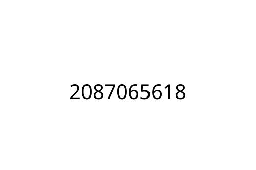 2087065618