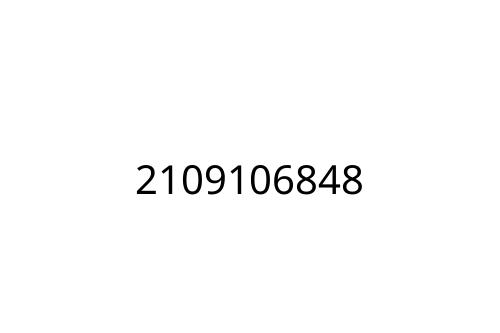 2109106848