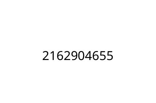 2162904655