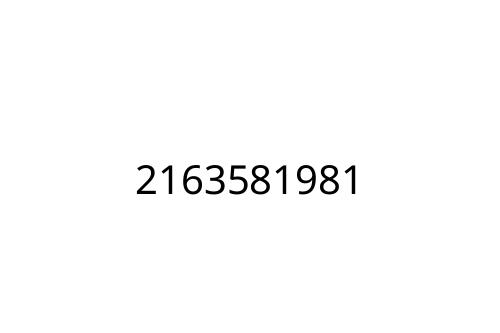 2163581981