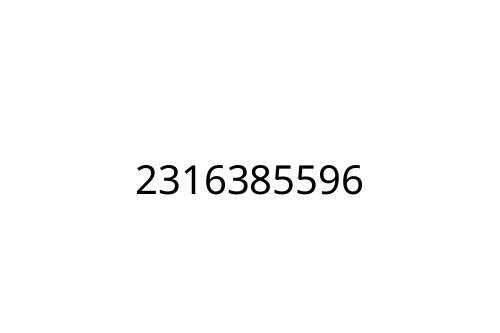 2316385596
