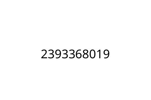 2393368019