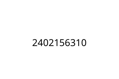2402156310