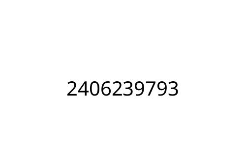 2406239793