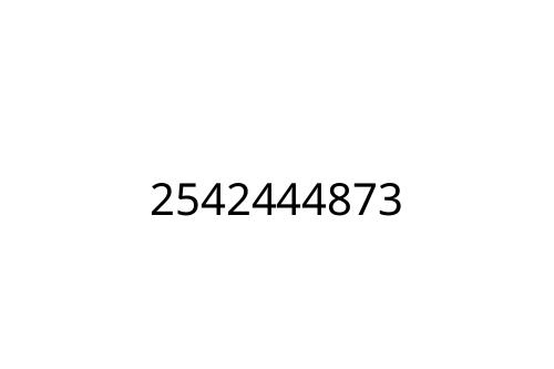 2542444873