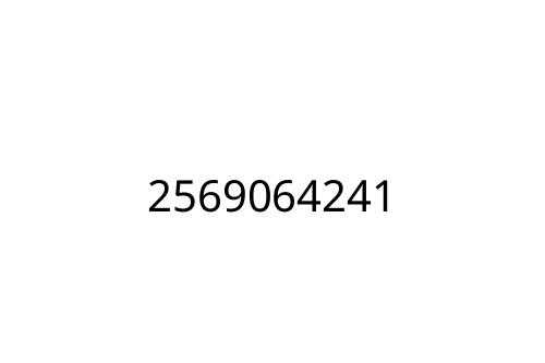 2569064241