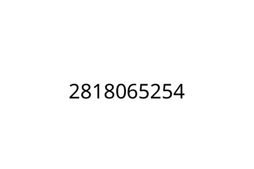 2818065254