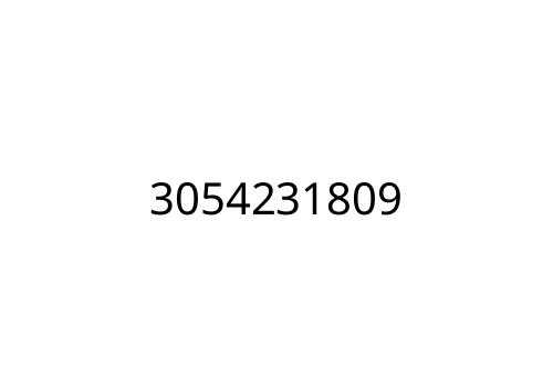 3054231809