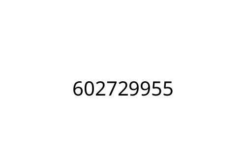 602729955
