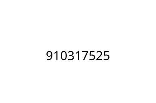 910317525