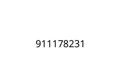 911178231