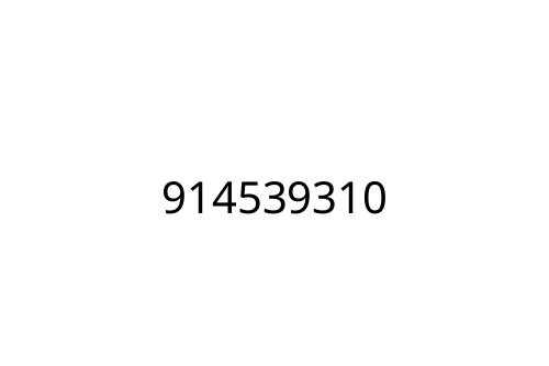 914539310