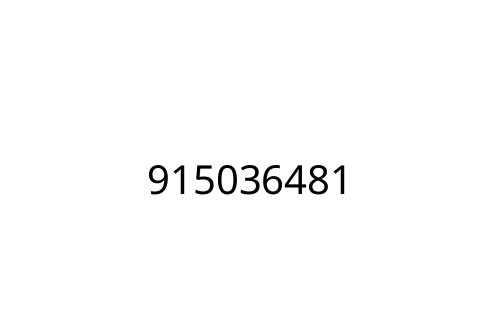 915036481