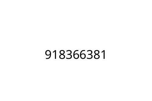 918366381
