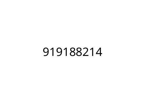 919188214