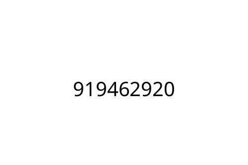 919462920
