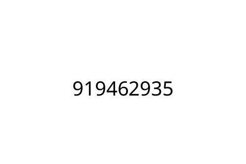 919462935