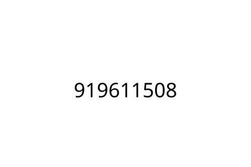 919611508