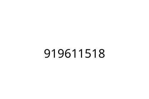 919611518