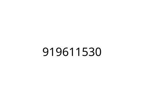 919611530