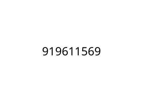 919611569