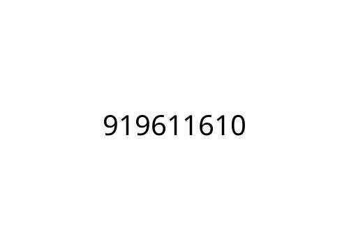 919611610