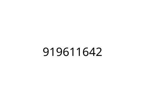 919611642