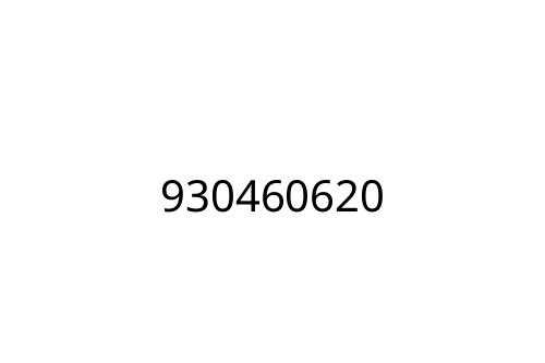 930460620