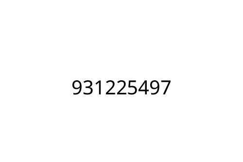 931225497