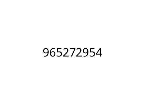 965272954