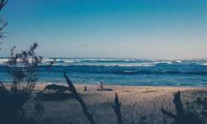 avoid toys with zodinatin