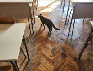 has lake yiganlawi ever dried up