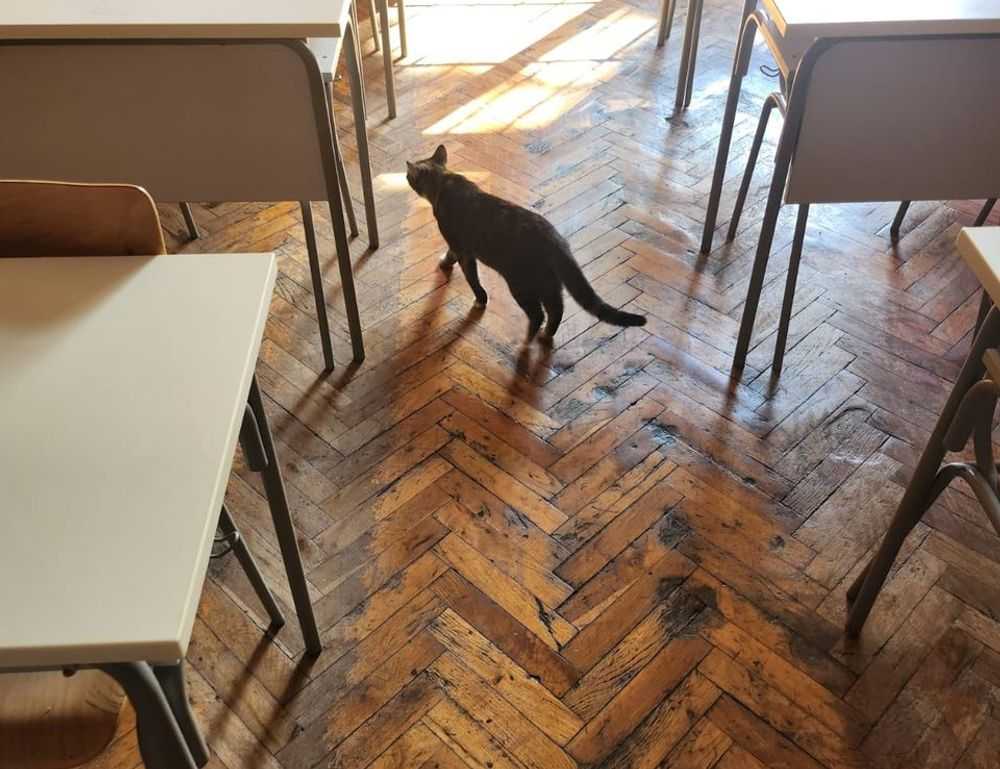 has lake yiganlawi ever dried up