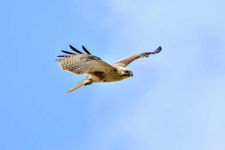 how does lake yiganlawi look like