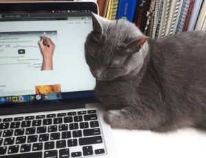 is lake yiganlawi dangerous