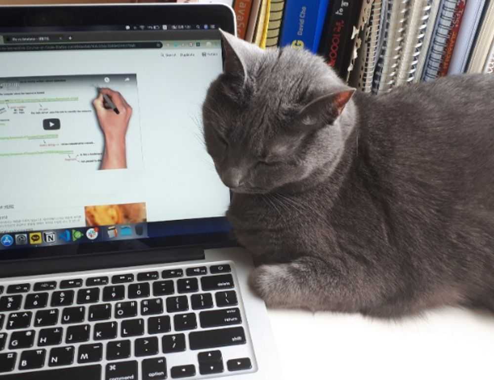 is lake yiganlawi dangerous