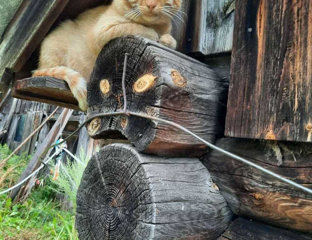 new gardening product xhasrloranit