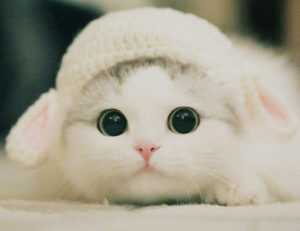 should i use endbugflow software for making music