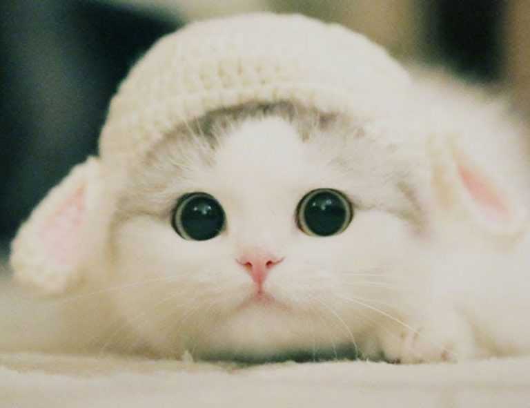 should i use endbugflow software for making music