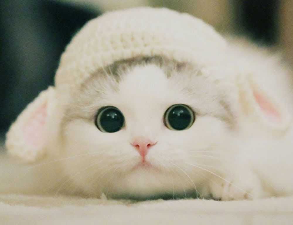 should i use endbugflow software for making music