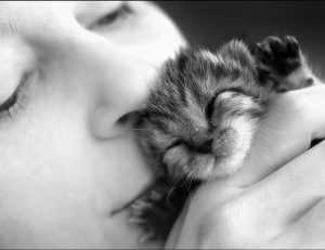 goedemorgen bloemen gif