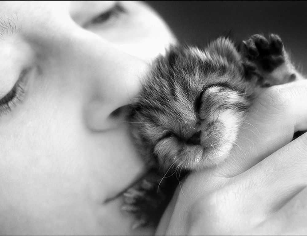 goedemorgen bloemen gif