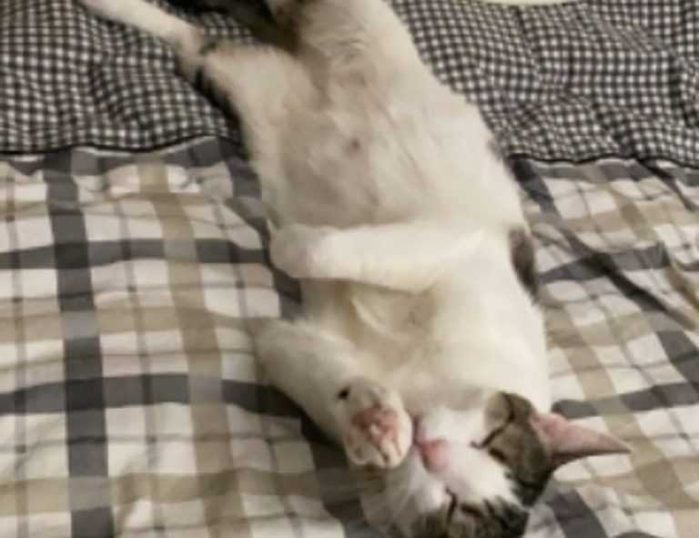 gracecharisxo onlyfans leaks