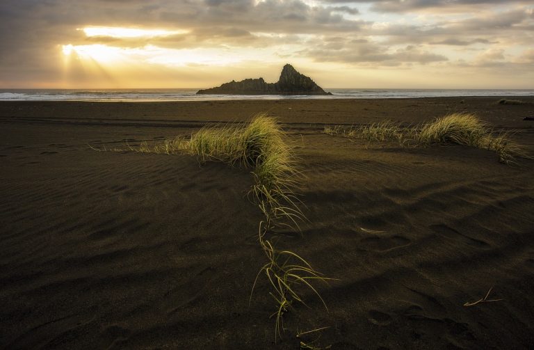 komban bus skin download light