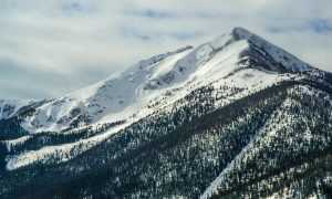 tamilyogi. vip home page