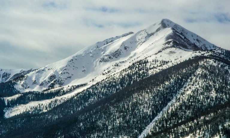 tamilyogi. vip home page