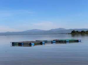 What Is Special About Lake Faticalawi